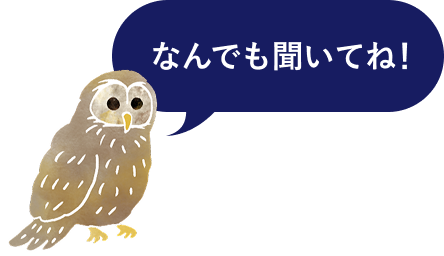 なんでも聞いてね！